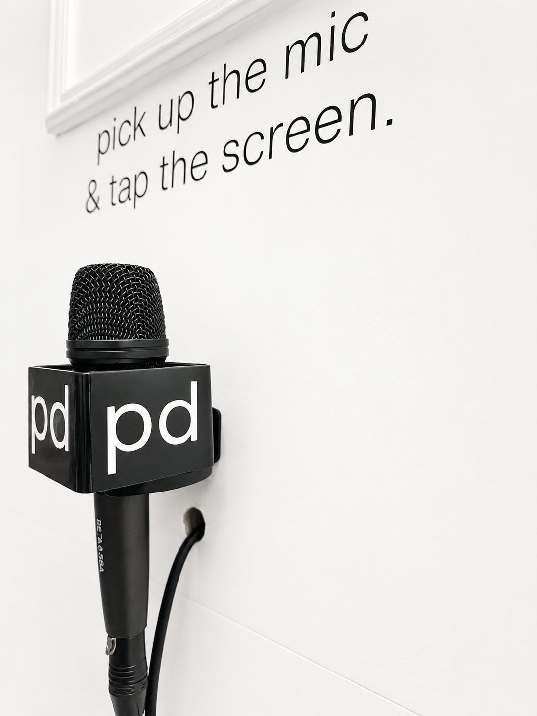 The Picturedat microphone